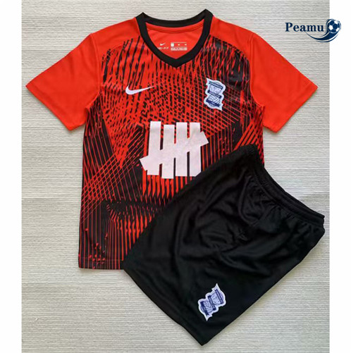 Maillot foot Birmingham City Enfant Exterieur 2023/2024 p6039