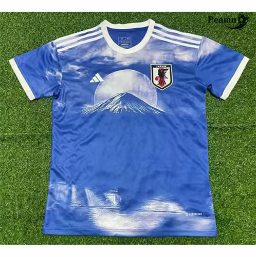 Maillot foot Japon under Mount Fuji 2023/2024 p6077