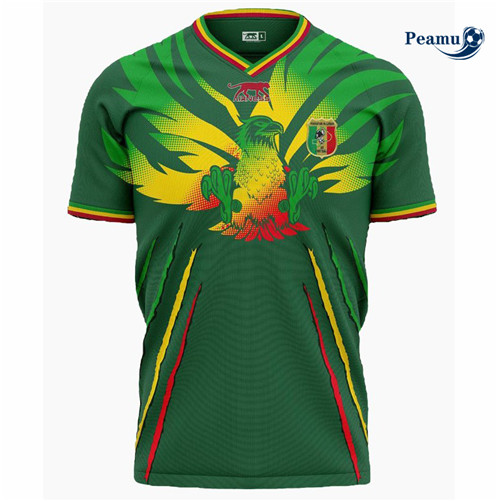 Maillot foot Mali Africa Cup Exterieur Vert 2023/2024 p6079