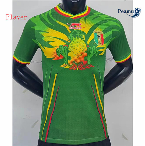 Maillot foot Mali Player Version Vert 2023/2024 p6085