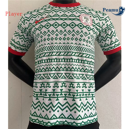 Maillot foot Nigeria Player Version Spéciale Light Vert 2023/2024 p6088