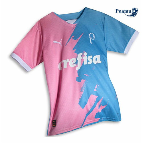 Maillot foot Palmeiras Édition spéciale 2023/2024 p6116
