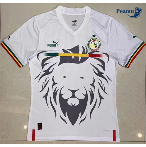 Maillot foot Senegal Domicile 2023/2024 p6095