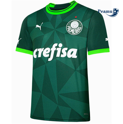 Peamu - Maillot foot Palmeiras Domicile Vert 23-24 p3027