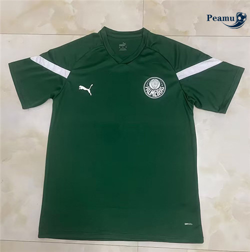 Peamu - Maillot foot Palmeiras Training Vert 2023/2024 France