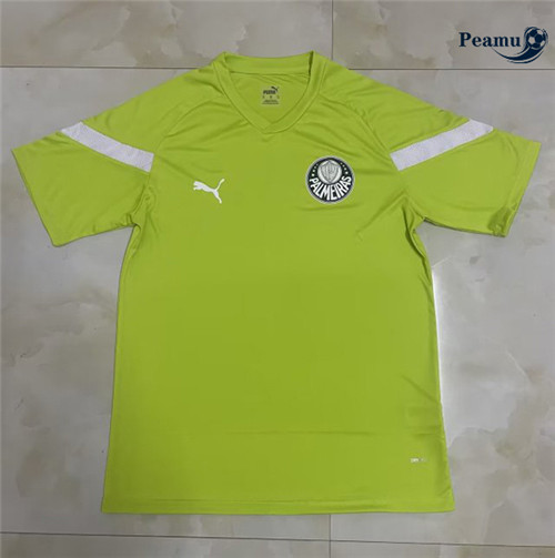 Peamu - Maillot foot Palmeiras Training Vert Gazon 2022/2023 personnalisé