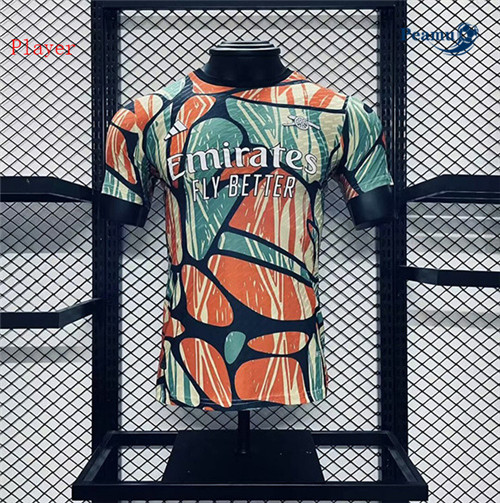 Maillot foot Arsenal Player pre-match 2024-2025