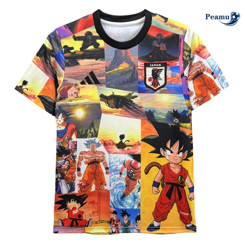 Maillot foot Japon Dragon 2024-2025