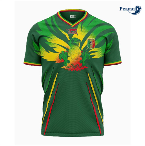 Maillot foot Mali Exterieur 2024-2025