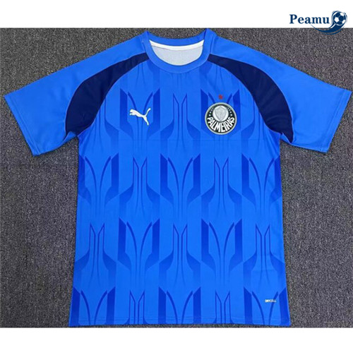 Maillot foot Palmeiras Bleu 2024-2025
