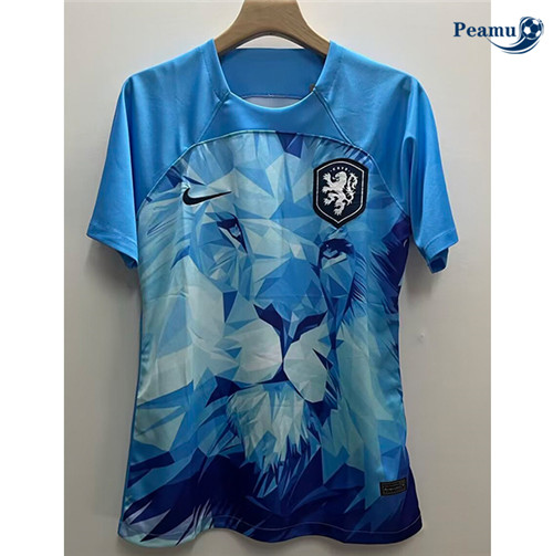 Maillot foot Pays-Bas Bleu 2024-2025