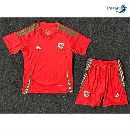 Maillot foot Pays de Galles Enfant Domicile 2024-2025