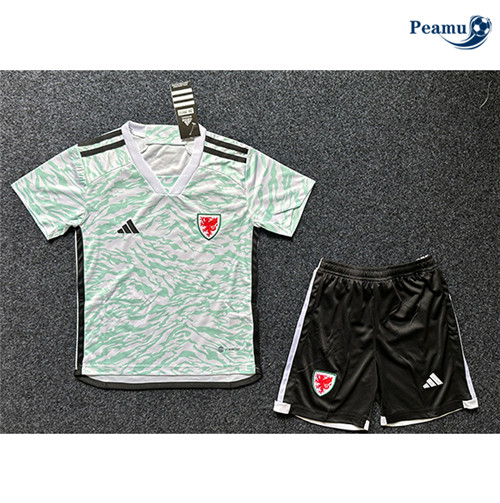 Maillot foot Pays de Galles Enfant Vert 2024-2025