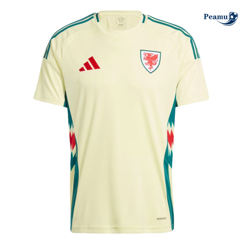 Maillot foot Pays de Galles Exterieur 2024-2025