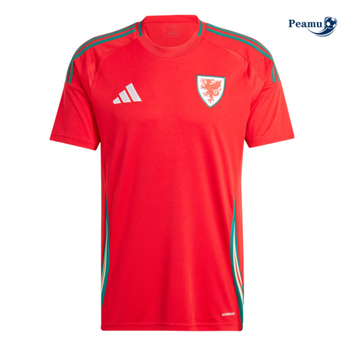 Maillot foot Pays de Galles Domicile 2024-2025