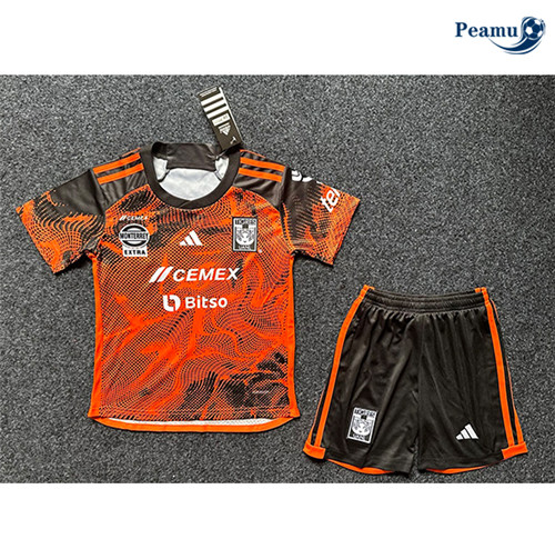 Maillot foot Tigres Enfant Third 2023-2024