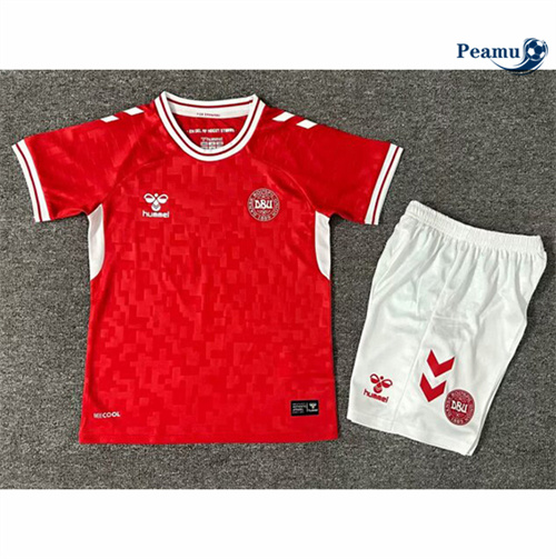 Maillot foot Denmark Enfant Domicile 2024-2025