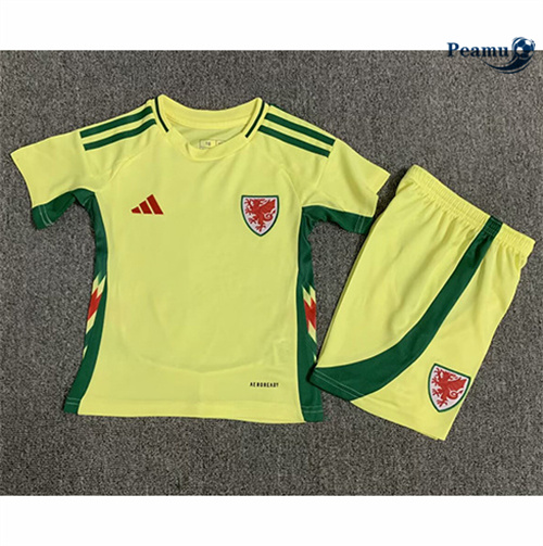 Maillot foot Pays de Galles Enfant Exterieur 2024-2025