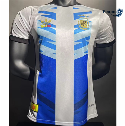 Maillot foot Argentine Player Version spéciale 2024-2025