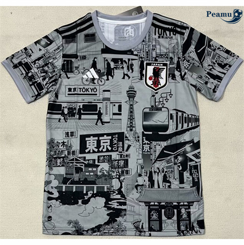 Maillot foot Japon édition spéciale gris 2024/2025 Chinois
