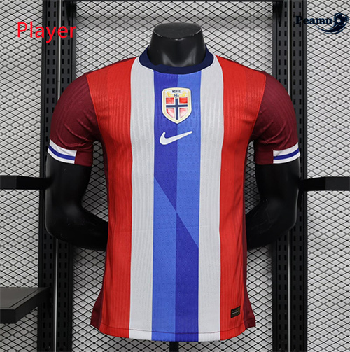 Maillot foot Norvège Player Version Domicile 2024/2025 Original