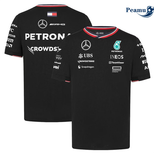 Maillot Mercedes AMG Petronas F1 2024 Peamu 6107
