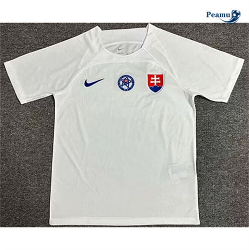 Maillot foot Slovaquie Exterieur 2024/2025
