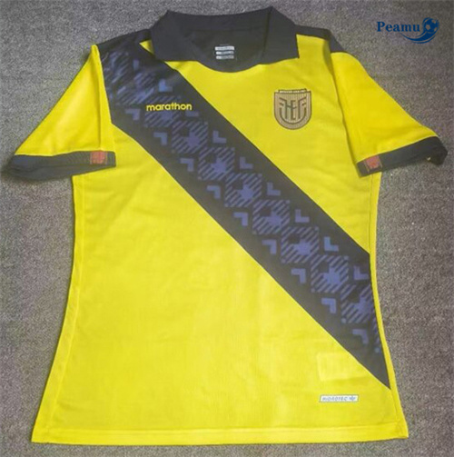 Maillot foot Équateur Domicile 2024/2025