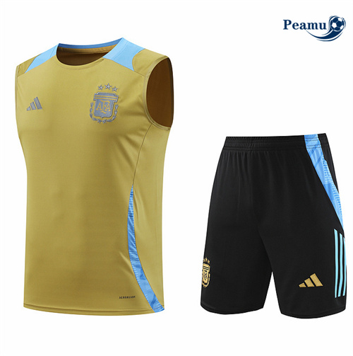 Maillot foot Kit Entrainement Argentine Debardeur + Shorts Jaune 2024-2025 Paris