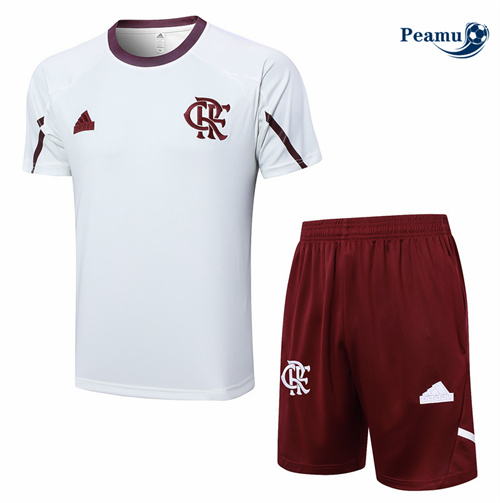 Maillot foot Kit Entrainement Flamengo + Shorts Gris Clair 2024-2025 Original