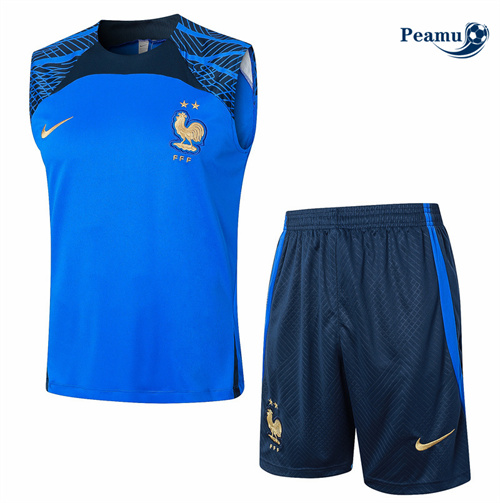 Maillot foot Kit Entrainement France Debardeur + Shorts bleu ciel 2024-2025 Chinois