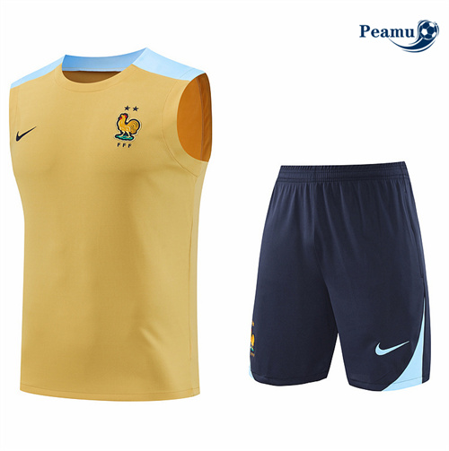 Maillot foot Kit Entrainement France Debardeur + Shorts Jaune 2024-2025 France