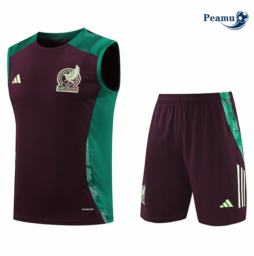 Maillot foot Kit Entrainement Mexique Debardeur + Shorts Brun 2024-2025 Officiel