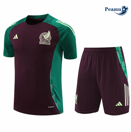 Maillot foot Kit Entrainement Mexique + Shorts Brun 2024-2025 Original