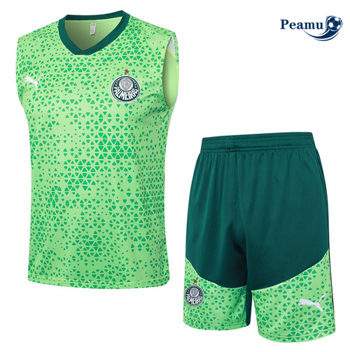 Maillot foot Kit Entrainement Palmeiras Debardeur + Shorts Vert 2024-2025 Outlet
