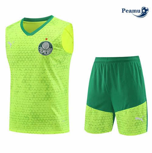 Maillot foot Kit Entrainement Palmeiras Debardeur + Shorts Jaune 2024-2025 Soldes