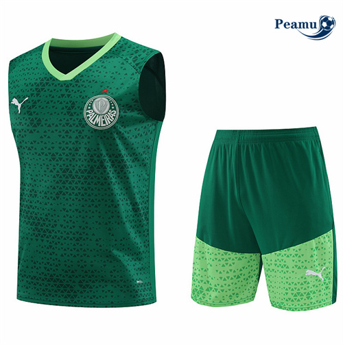 Maillot foot Kit Entrainement Palmeiras Debardeur + Shorts Vert 2024-2025 Chinois