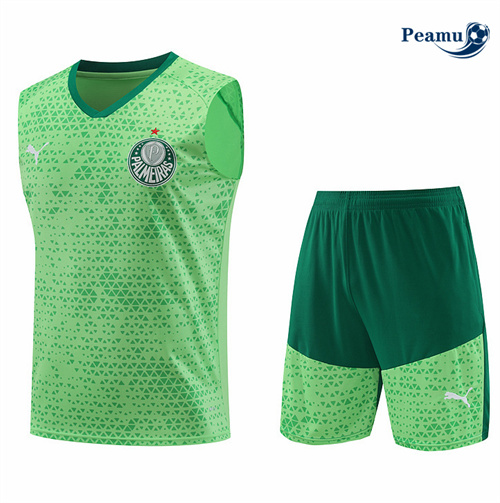 Maillot foot Kit Entrainement Palmeiras Debardeur + Shorts Vert 2024-2025 grossiste