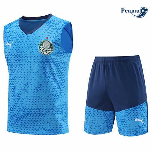 Maillot foot Kit Entrainement Palmeiras Debardeur + Shorts Bleu 2024-2025 discout