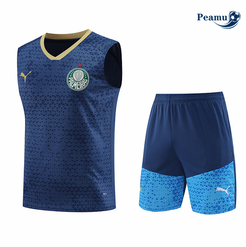 Maillot foot Kit Entrainement Palmeiras Debardeur + Shorts Bleu 2024-2025 Paris