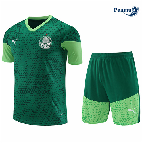 Maillot foot Kit Entrainement Palmeiras + Shorts Vert 2024-2025 personnalisé