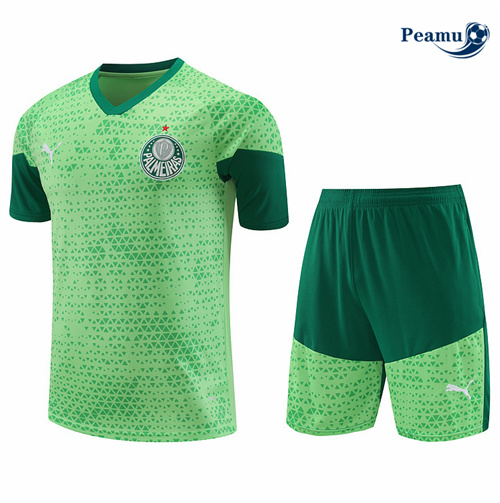 Maillot foot Kit Entrainement Palmeiras + Shorts Vert 2024-2025 Officiel