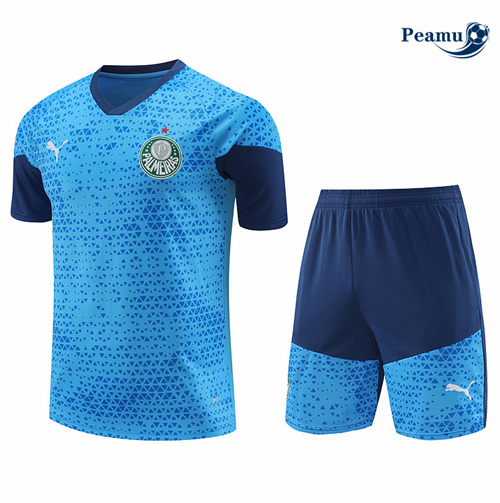 Maillot foot Kit Entrainement Palmeiras + Shorts Bleu 2024-2025 Original