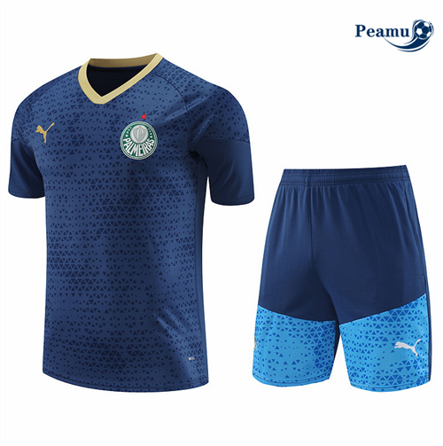 Maillot foot Kit Entrainement Palmeiras + Shorts Bleu 2024-2025 prix