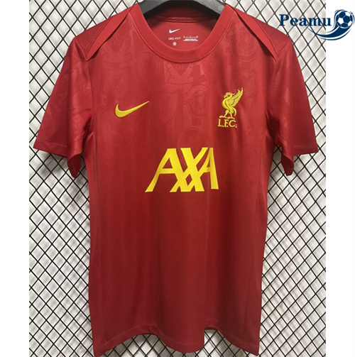 Maillot foot Liverpool Training 2024-2025 prix