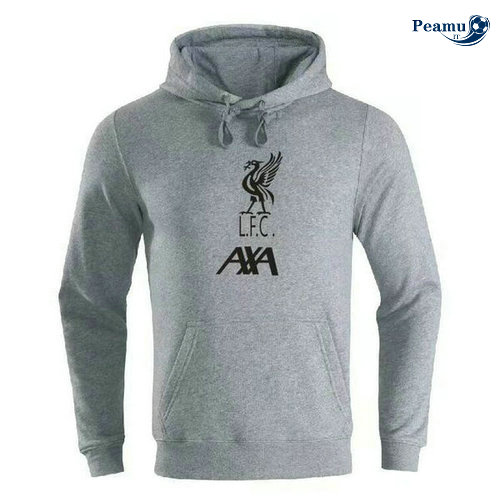 Sweat à capuche Gris Liverpool 2019-2020