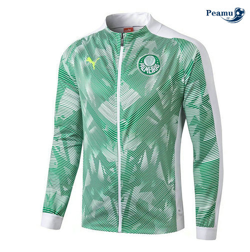 Veste foot Palmeiras Verde/Bianco 2019-2020