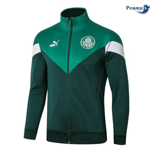 Veste foot Palmeiras Verde 2019-2020
