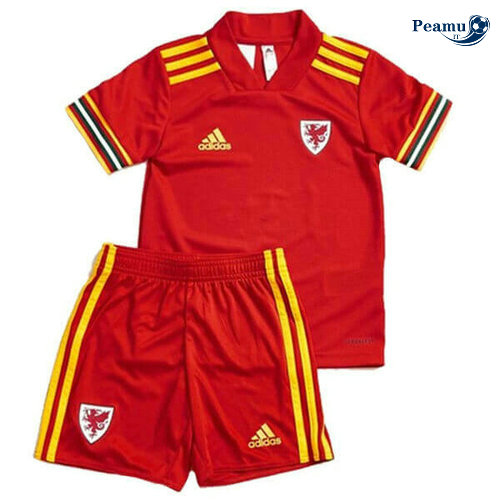 Maillot foot Pays de Galles Enfant Domicile UEFA Euro 2020-2021
