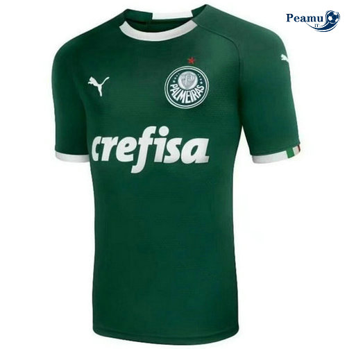 Maillot foot Palmeiras Domicile Verde 2019-2020